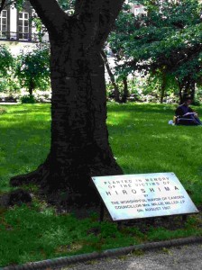 Hiroshima Tree at Tavistock Square, London. Photo © Global Poetry.